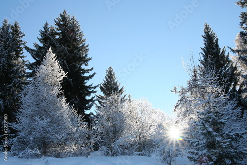 Photo: l'hiver l'hiver