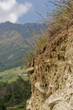 bodenerosion