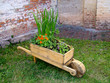 wheelbarrow