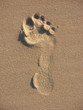 footprint