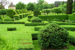 jardin taillé