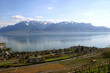 lac léman