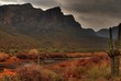 desert storm approaching 11
