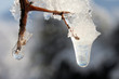 ice