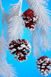 christmas pine cones