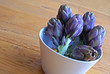 blue artichokes blue artichokes