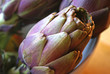 close-up artichoke close-up artichoke