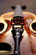 violin