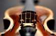 violin