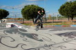 bmx