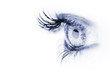 oeil