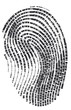 fingerprint