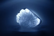 frosen oxygen