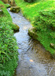 Photo: cours d'eau cours d'eau