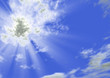 beams of the sun