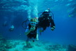 Photo: young diver young diver