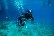 young diver