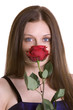 Foto: rose woman rose woman