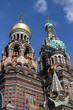 heads of church of our savior on spilled blood