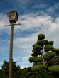 lamp post, bc