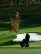 Photo: golfer golfer