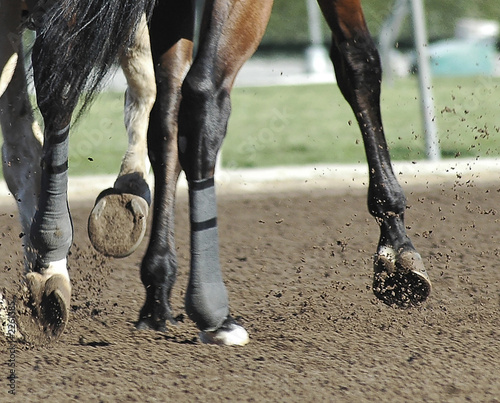 Photo: race horse hoofs race horse hoofs