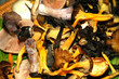 scottish, wild mushrooms, hand picked,