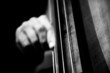 contrebasse musicale