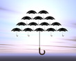 umbrellas