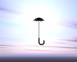 umbrella