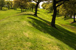 antonin's roman wall