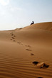 liwa desert 27