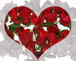 valentinsherz