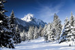 winter...
