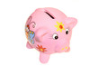 cochon tirelire