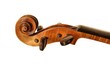 violin