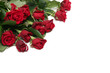 red roses