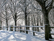 sous la neige