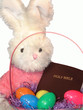 oxymoronic bunny