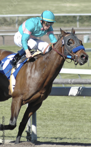 Photo: race horse & jocket in green race horse & jocket in green