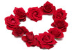 red roses