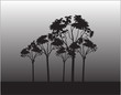 trees in the night