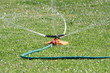 garden sprinkler