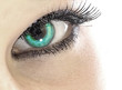 eye, das auge