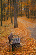 autumn time