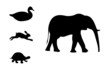 duck, hare, elephant, turtle