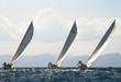 vela in sardegna