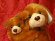 doggy doll family portrait doggy doll family portrait