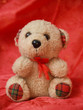 teddy bear teddy bear