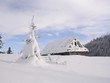a hut in snow